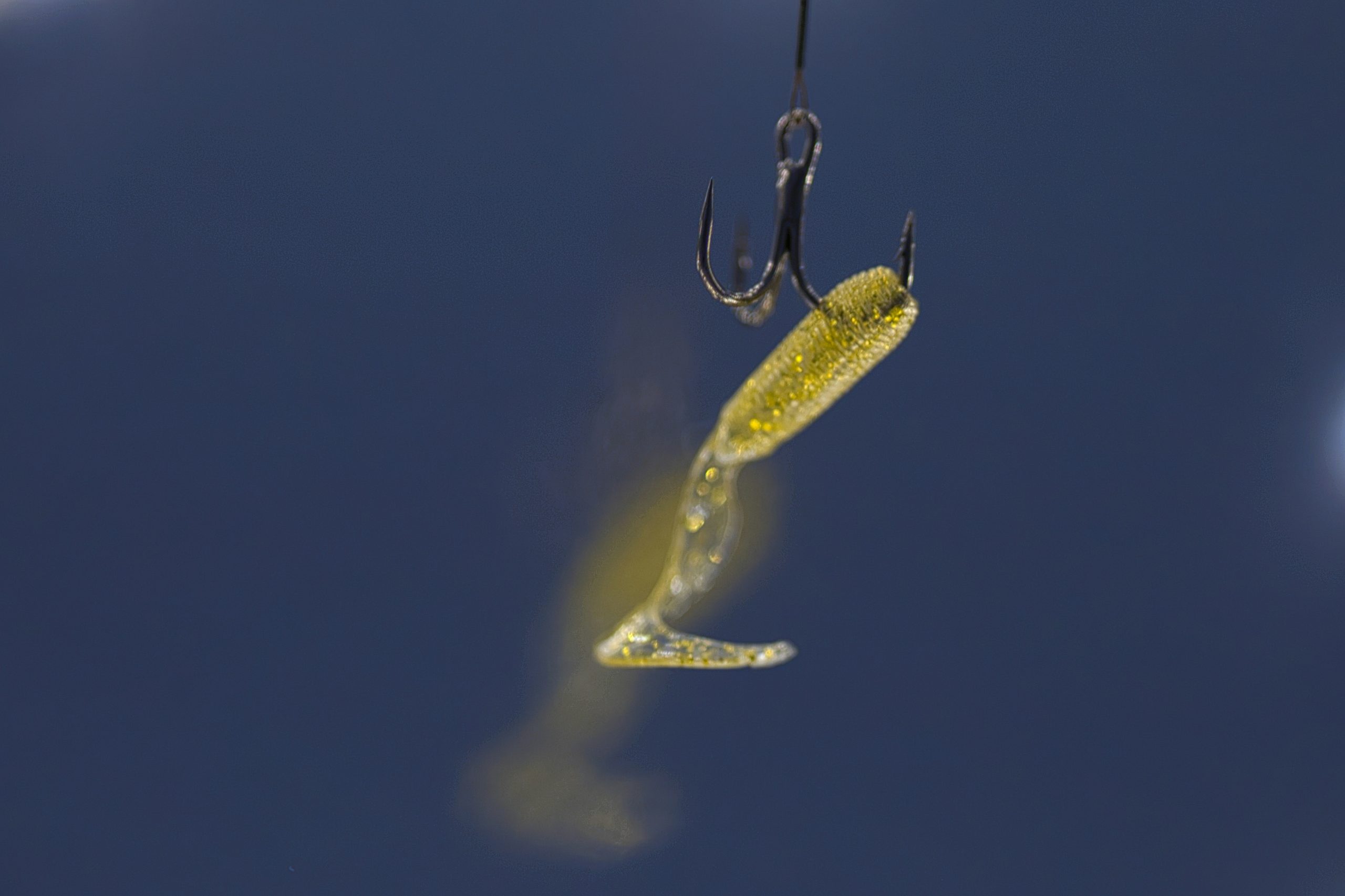 a hook phishing